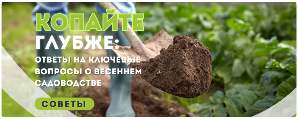 копайте глубже (1000 x 400 пикс.).png копайте глубже (1000 x 400 пикс.).png
