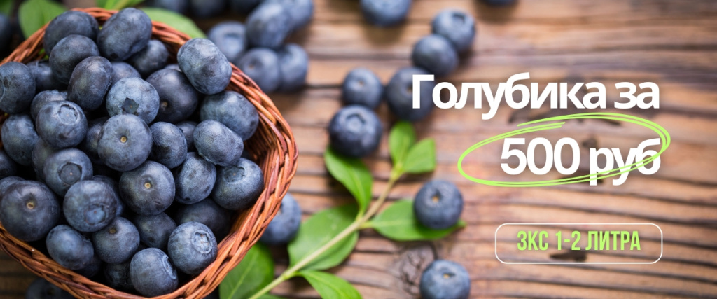 голубика (1200 x 500 пикс.).jpg