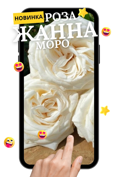 Жанна Моро.jpg Жанна Моро.jpg