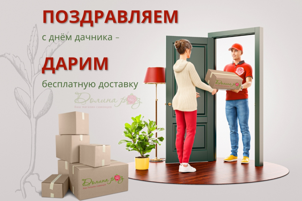 поздравляем.jpg поздравляем.jpg