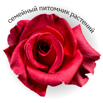 семейный питомник.png семейный питомник.png