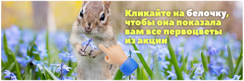 первоцветы (1200 x 400 пикс.).png первоцветы (1200 x 400 пикс.).png