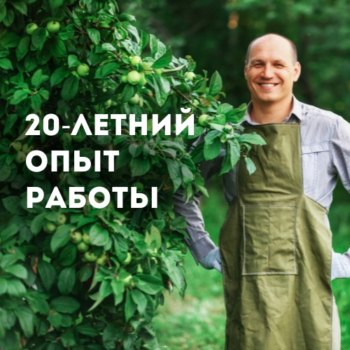 опыт.jpg опыт.jpg