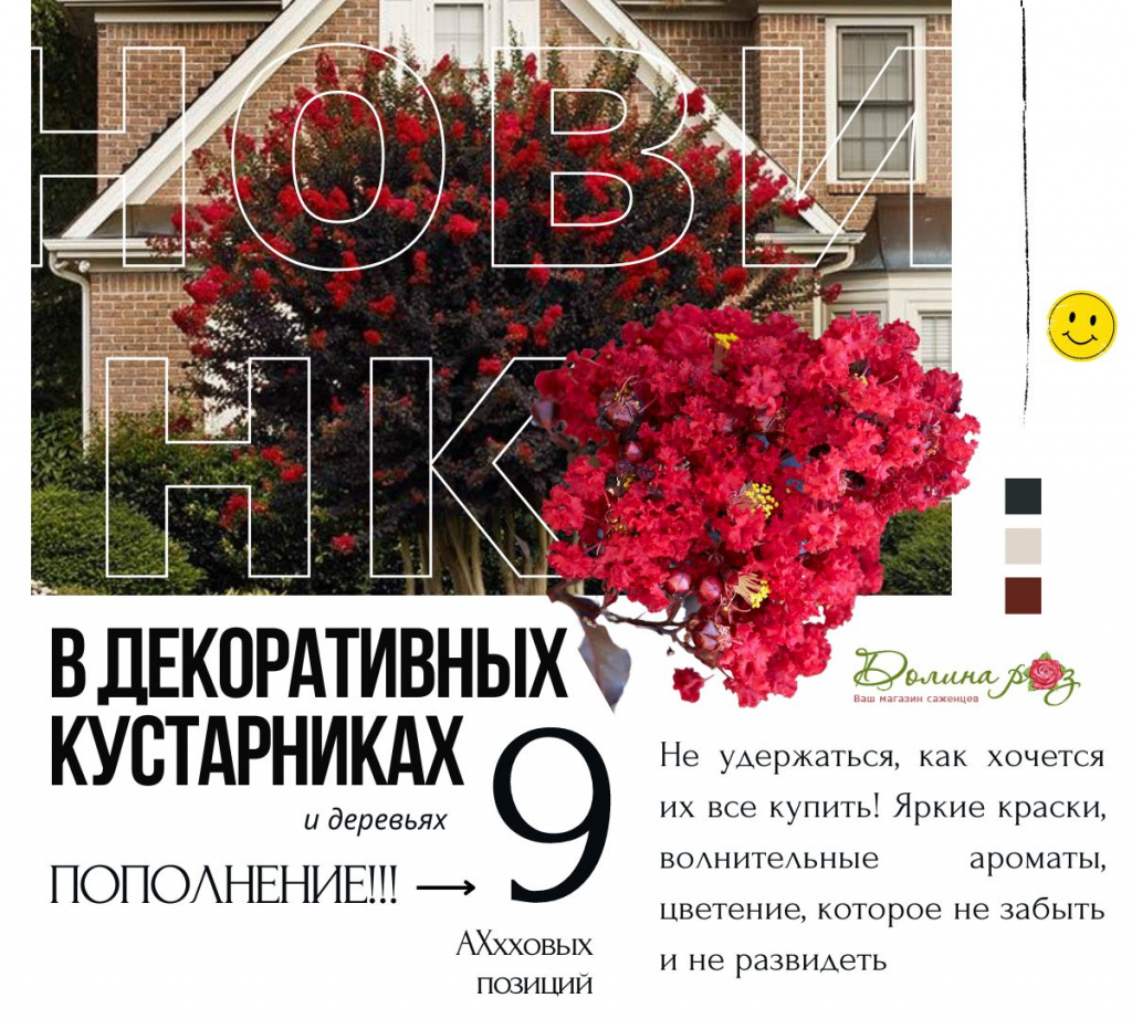 новинки в декоративном саде.jpg