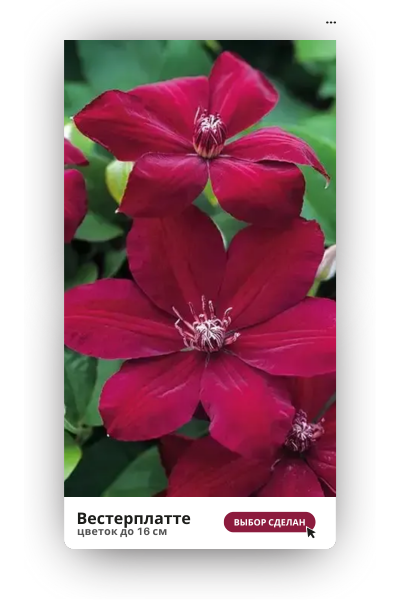 Вестерплатте (400 x 600 пикс.).png