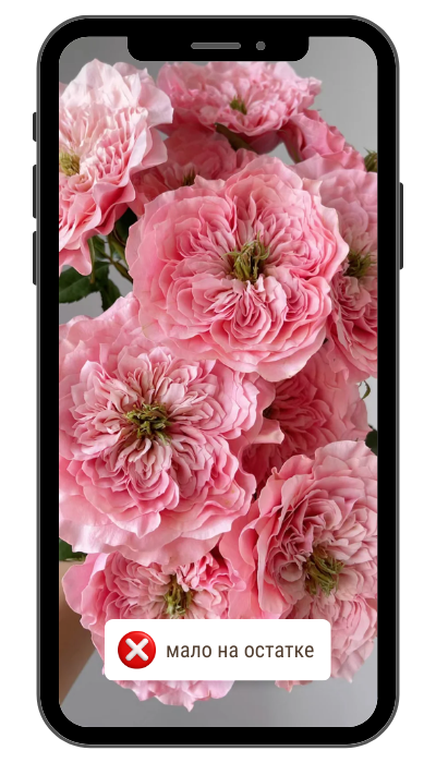 микото.png микото.png