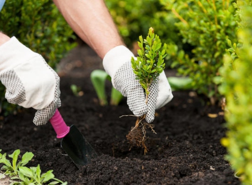 ОКС посадка .jpg ОКС посадка .jpg