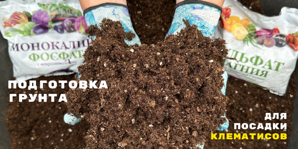 грунт для клематисов