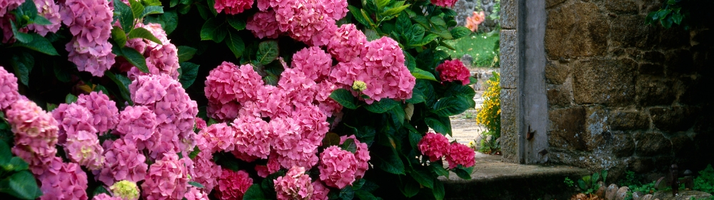 горт (1).jpg горт (1).jpg