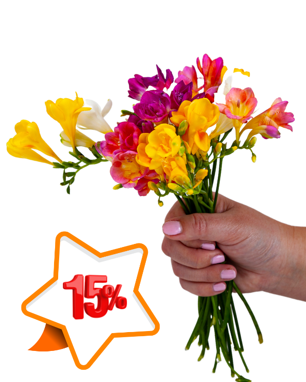 фрезия.png фрезия.png