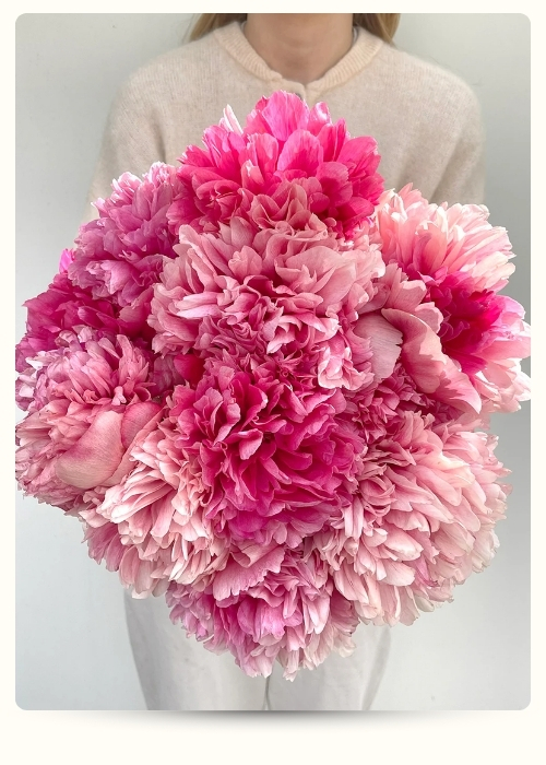 Комманд Перформанс (500 x 700 пикс.).jpg