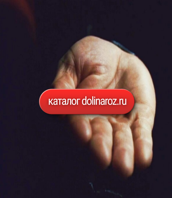 каталог.png каталог.png