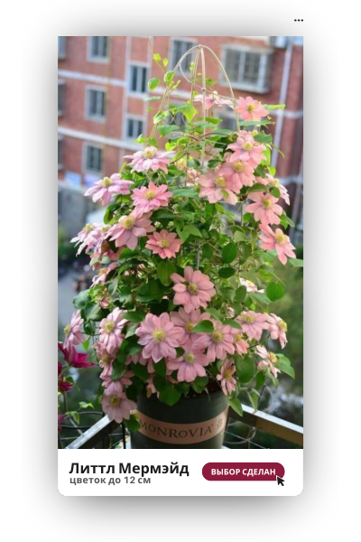 Литтл Мермэйд (400 x 600 пикс.).png