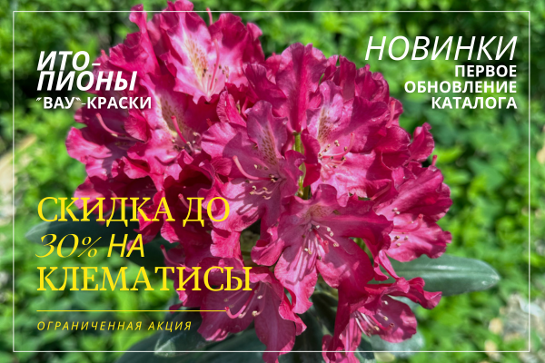 Весна ближе, чем кажется: обновленный ассортимент ждет вас! фото Весна ближе, чем кажется: обновленный ассортимент ждет вас! фото