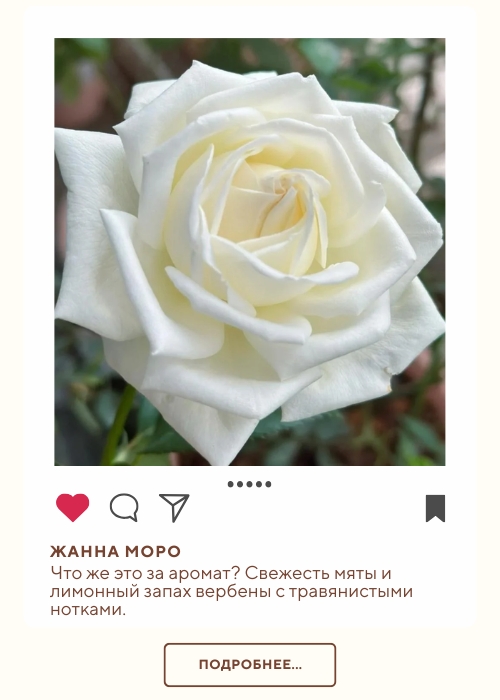 Жанна Моро (500 x 700 пикс.).jpg