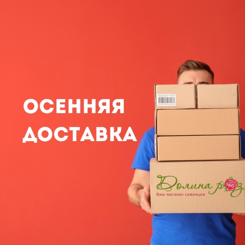 доставка.jpg доставка.jpg