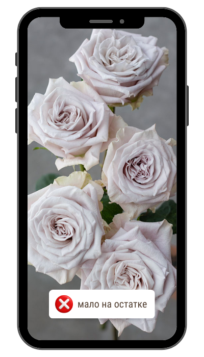 Мента.png Мента.png