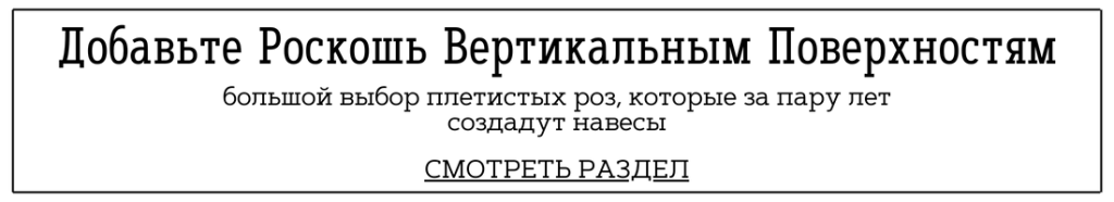 Плетистые розы.png Плетистые розы.png