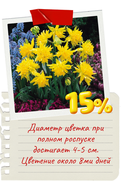 Рип Ван Винкл.png