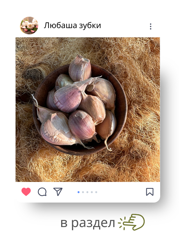 любаша.png любаша.png