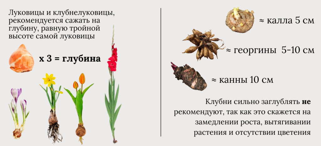 Глубина посадки (1100 x 600 пикс.) (1).jpg Глубина посадки (1100 x 600 пикс.) (1).jpg