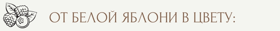ЗАГОЛОВОК3.jpg ЗАГОЛОВОК3.jpg