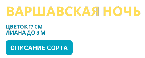 Варшавская ночь (500 x 200 пикс.).png Варшавская ночь (500 x 200 пикс.).png