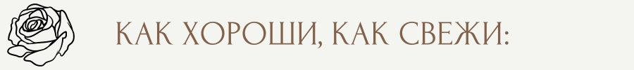 ЗАГОЛОВОК.jpg ЗАГОЛОВОК.jpg