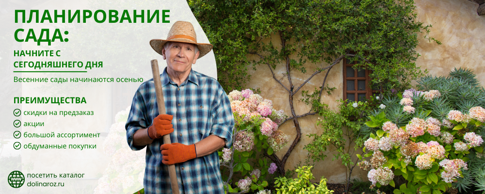 планирование сада (1000 x 400 пикс.).png