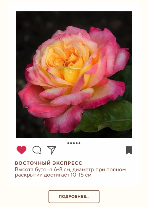 Восточный Экспресс (500 x 700 пикс.).jpg