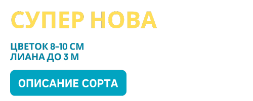 Супер Нова (500 x 200 пикс.).png Супер Нова (500 x 200 пикс.).png