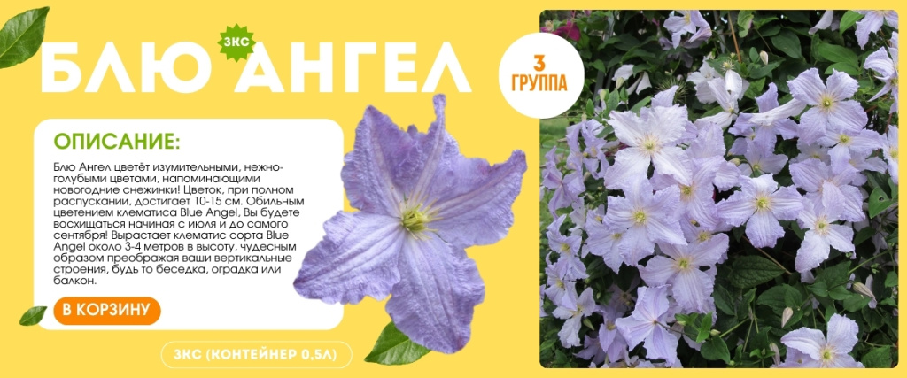 Блю Ангел (1200 x 500 пикс.).jpg Блю Ангел (1200 x 500 пикс.).jpg