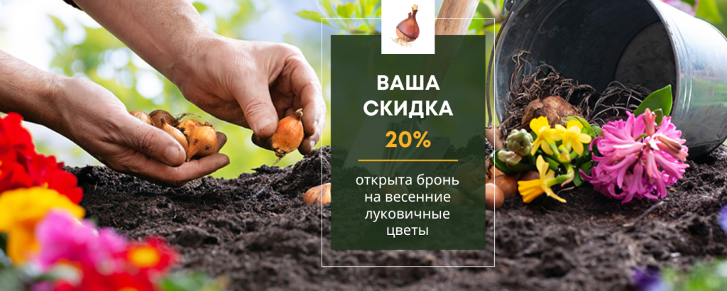 ВАША СКИДКА (1000 x 400 пикс.).png