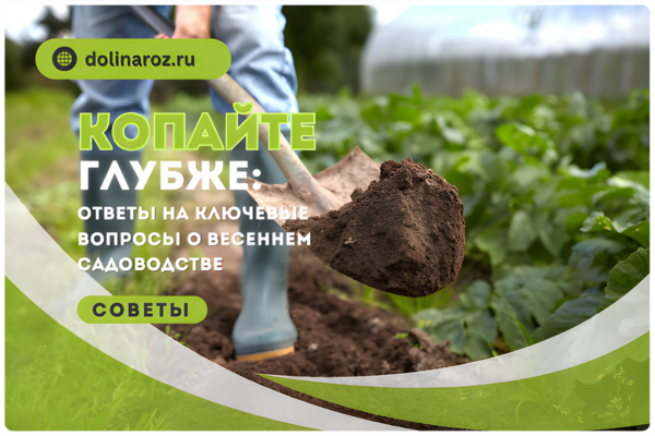 КОПАЙТЕ ГЛУБЖЕ: ответы на ключевые вопросы о весеннем садоводстве фото КОПАЙТЕ ГЛУБЖЕ: ответы на ключевые вопросы о весеннем садоводстве фото