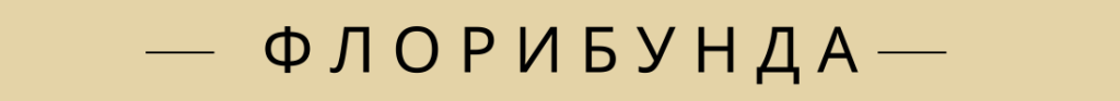 флорибунда.png флорибунда.png