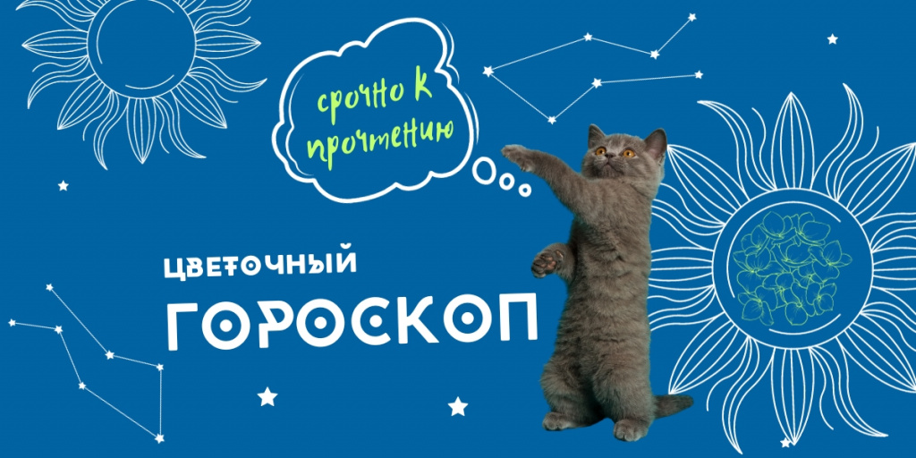 ГОРОСКОП.jpg