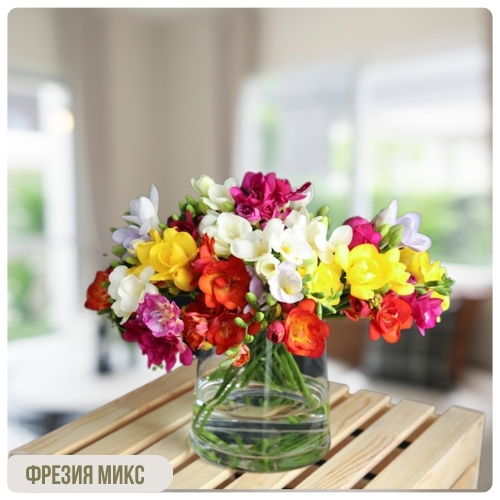 Фрезия.jpg Фрезия.jpg