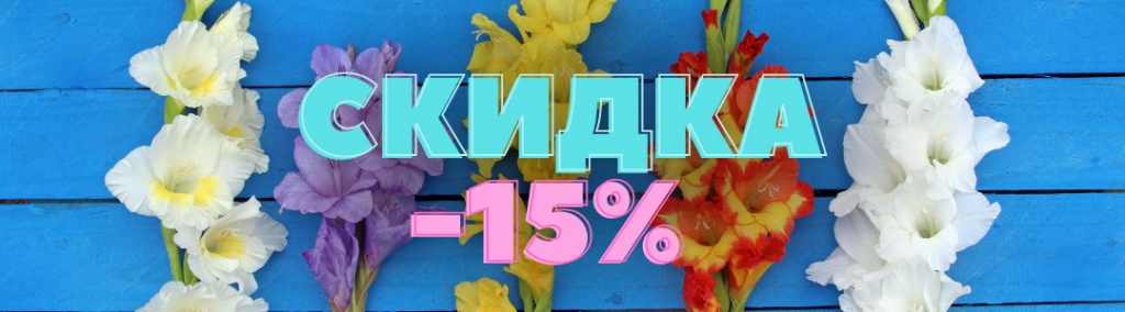 гладиолусы.jpg гладиолусы.jpg