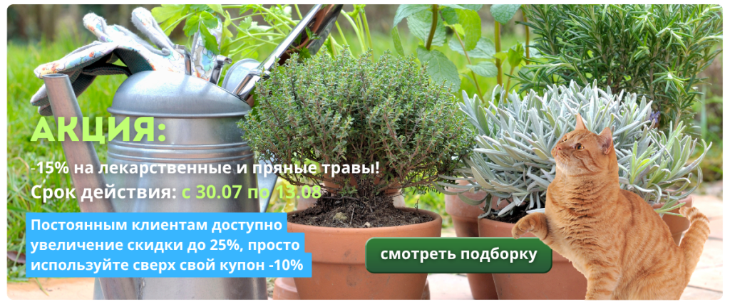 пряные травы.png пряные травы.png