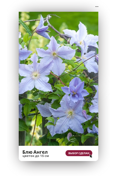 Блю Ангел 400.png