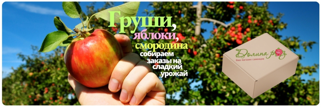 главная (1).jpg главная (1).jpg