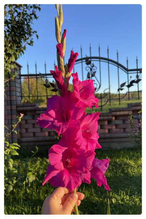 Натан (300 x 450 пикс.).png Натан (300 x 450 пикс.).png