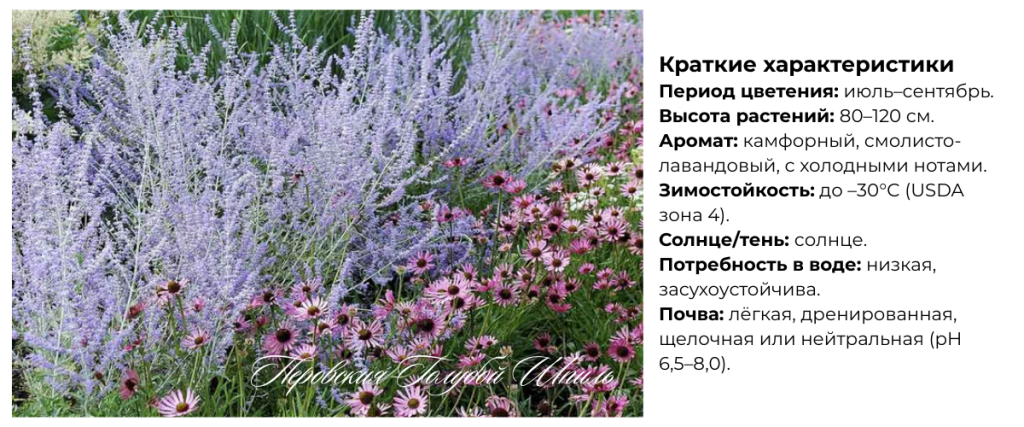 Перовския Голубой Шпиль.png Перовския Голубой Шпиль.png