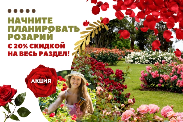 Начните планировать розарий с 20% скидкой на весь раздел! фото Начните планировать розарий с 20% скидкой на весь раздел! фото