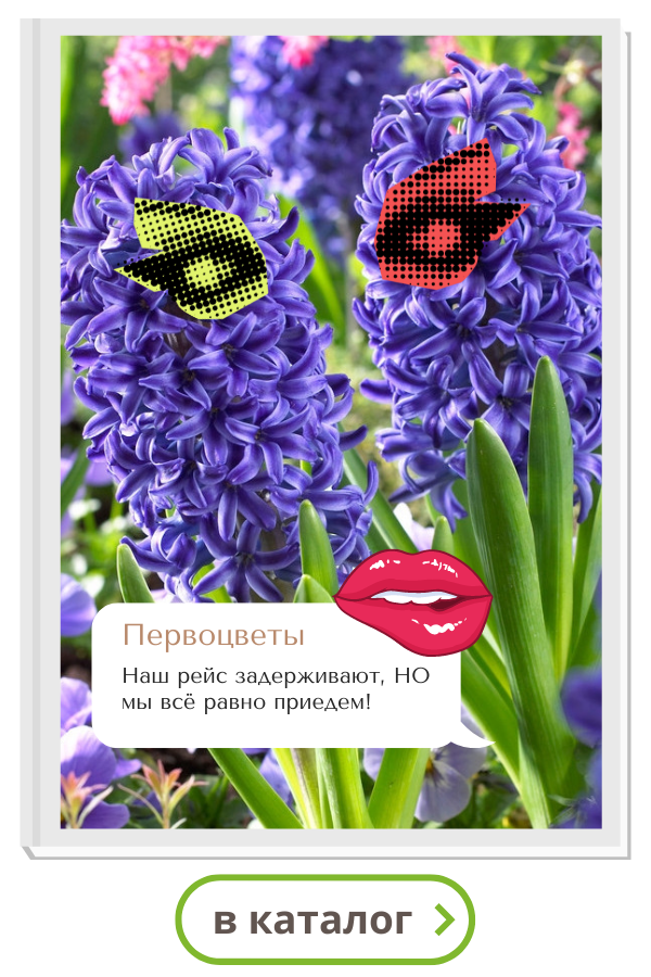 первоцветы.png первоцветы.png