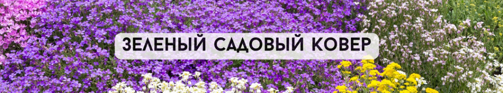 Зеленый садовый ковер.jpg