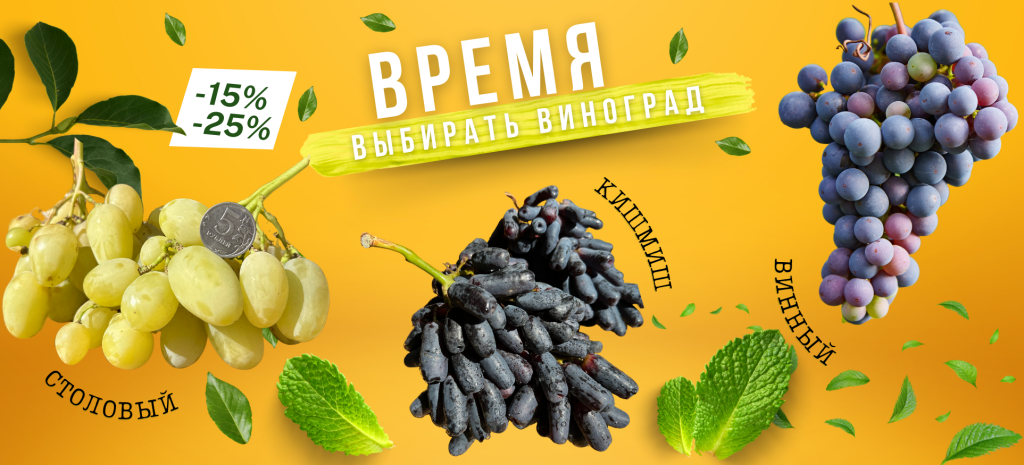 саженцы винограда.png саженцы винограда.png