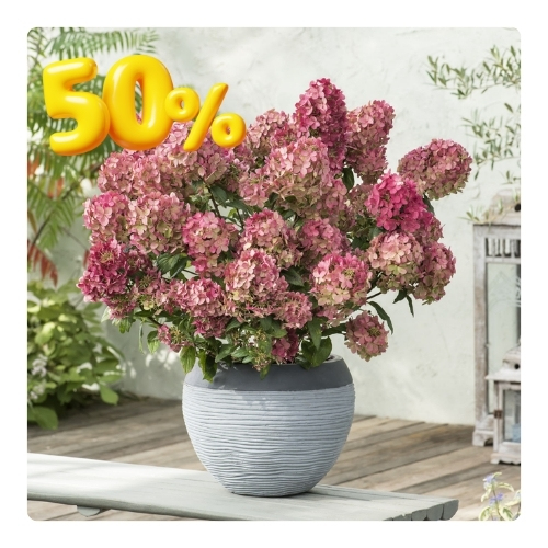 50 скидка (500 x 500 пикс.).jpg