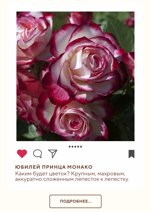 Юбилей Принца Монако (500 x 700 пикс.).jpg