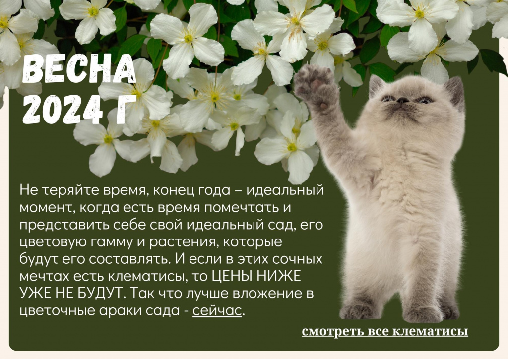 Каталог клематисов